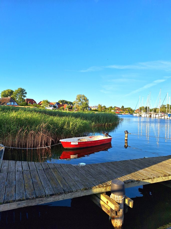 Rotes Boot am Ufer eines ruhigen Gewässers mit Pflanzen und Häusern im Hintergrund.