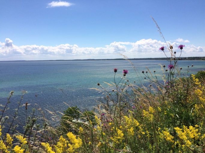 Blick auf das Meer mit bunten Wildblumen im Vordergrund und blauen Himmel.