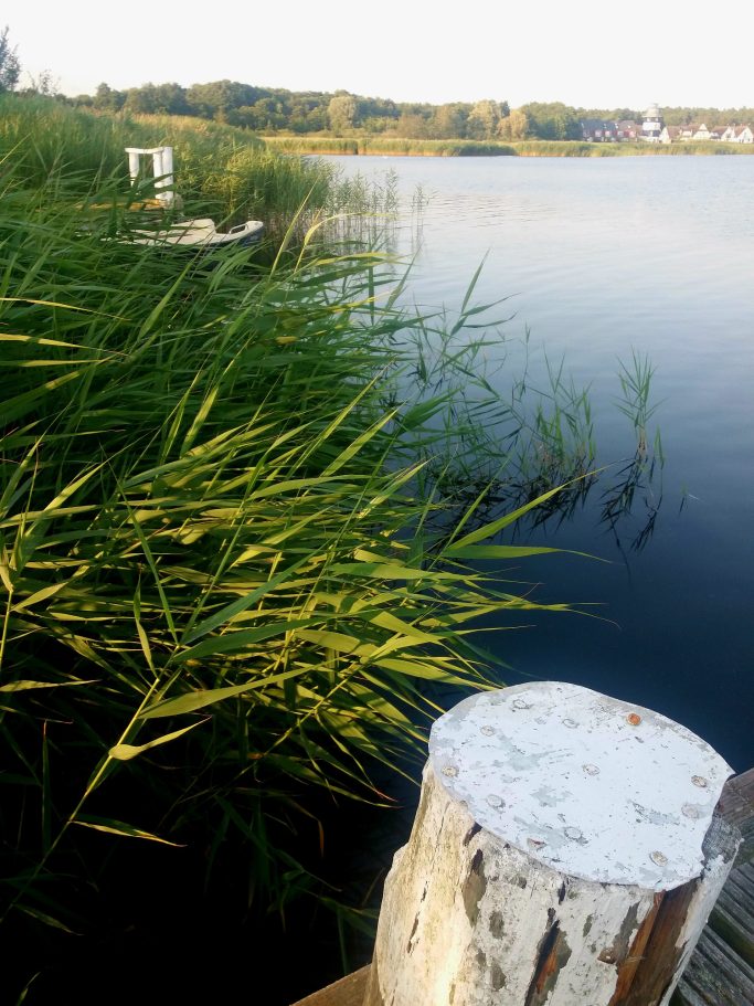 Eine ruhige Wasseroberfläche mit Schilfrohr und einem Holzpfosten im Vordergrund.