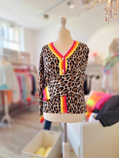 Leopardmuster Pullover mit leuchtenden, farbigen Akzenten an Kragen und Knöpfen.