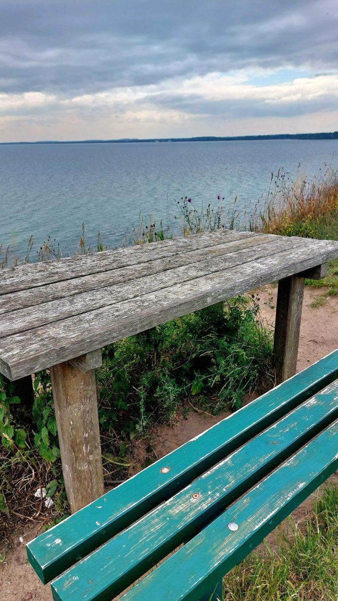 Holztisch und Bank am Ufer eines ruhigen Sees unter bewölkten Himmel.
