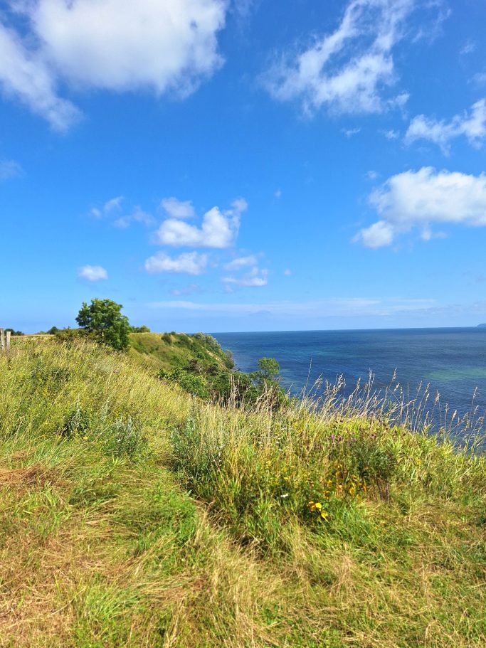 Küstenlandschaft mit grünem Gras, Sträuchern und blauem Himmel.