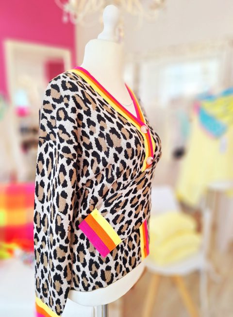Leopardmuster Pullover mit bunten Akzenten in fröhlichem Raum.